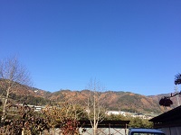 IMG_1164.JPG