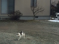 IMG_1319.JPG