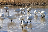 IMG_3254.jpg