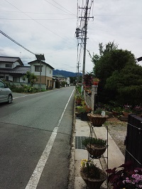 800.jpg