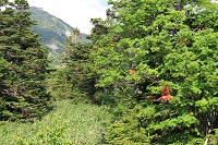 IMG_6826.jpg