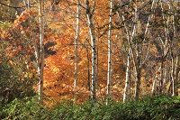 IMG_8835.jpg