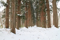 IMG_0449.JPG