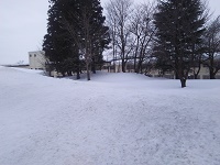 IMG_20170205_135340.jpg