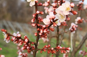 IMG_7328.JPG