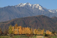 IMG_4202.JPG