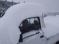 IMG_20170115_141809.jpg