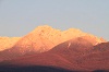 IMG_9821.jpg