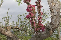 IMG_7847.jpg