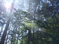 IMG_1611.JPG