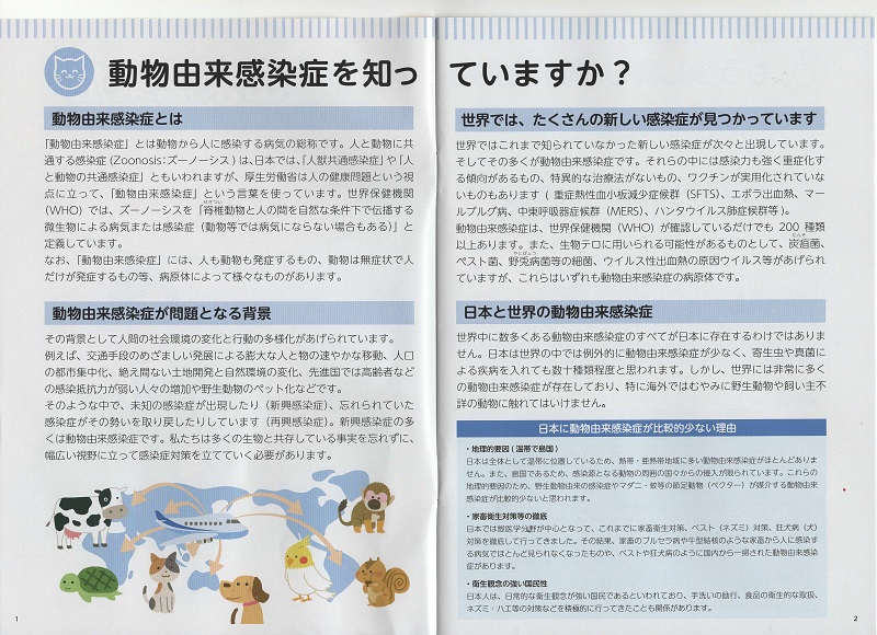 02.jpg