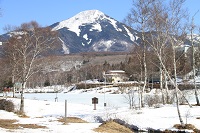 IMG_2449.jpg