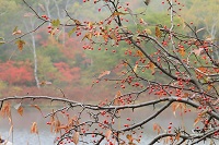 IMG_5307.jpg