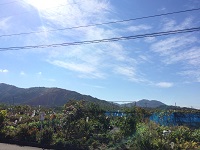 image1.JPG
