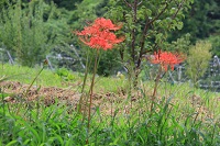IMG_6766.JPG