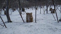 DSC_0001.JPG