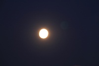IMG_7265.jpg