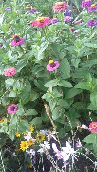 2016073105530000.jpg