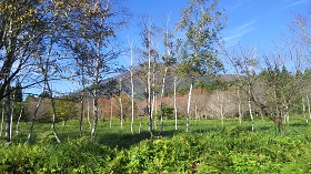 DSC_0140.JPG