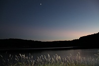 IMG_1426.jpg