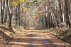 IMG_9767.jpg