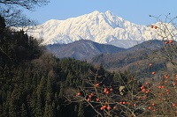 IMG_0184.jpg
