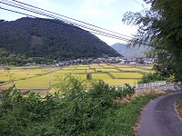 005.jpg