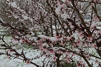 IMG_3214.jpg
