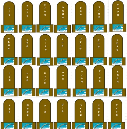 4000.jpg