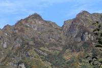 IMG_8235.jpg