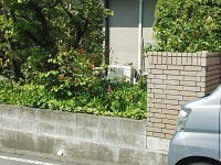 001.jpg