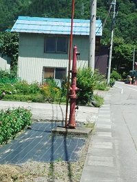 006.jpg