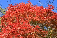 IMG_2022.JPG