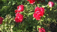 DSC_0035.JPG