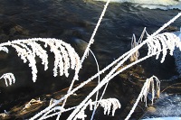 IMG_0804.JPG