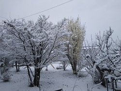 DSC_9736.JPG