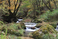 IMG_9332.jpg