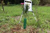 IMG_8267.JPG