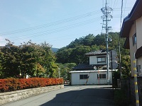 005.jpg