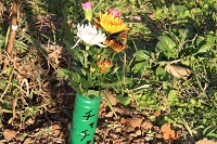 IMG_2532.JPG