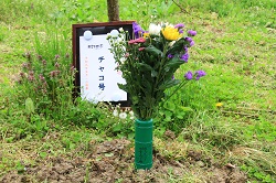 IMG_7533.JPG