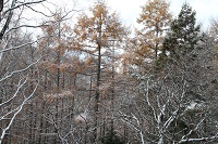 IMG_2346.jpg