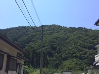 image1.JPG