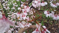 DSC_0046.JPG