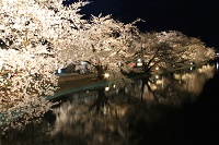 IMG_2996.JPG