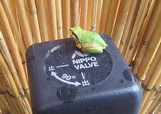 .jpg