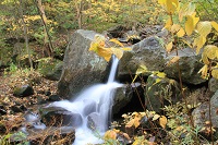 IMG_8983.JPG