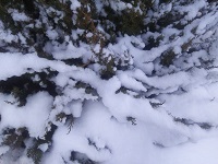 IMG_20180104_125306.jpg