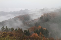 IMG_0001.JPG