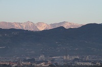 IMG_1800.jpg